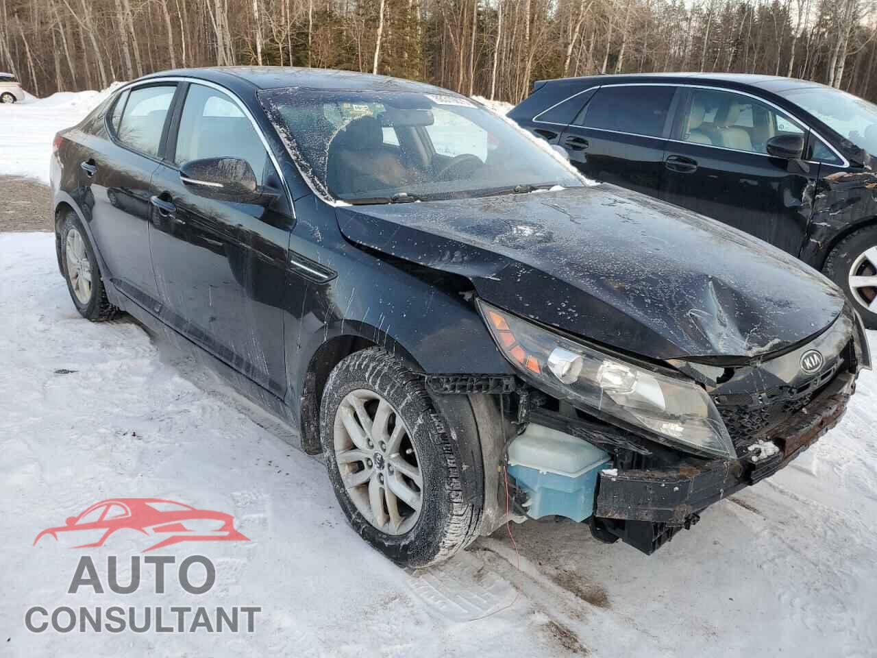 KIA OPTIMA 2012 - KNAGM4A71C5294258