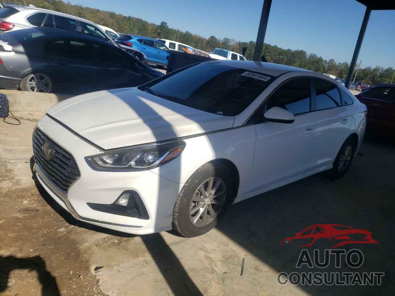 HYUNDAI SONATA 2019 - 5NPE24AF0KH771266
