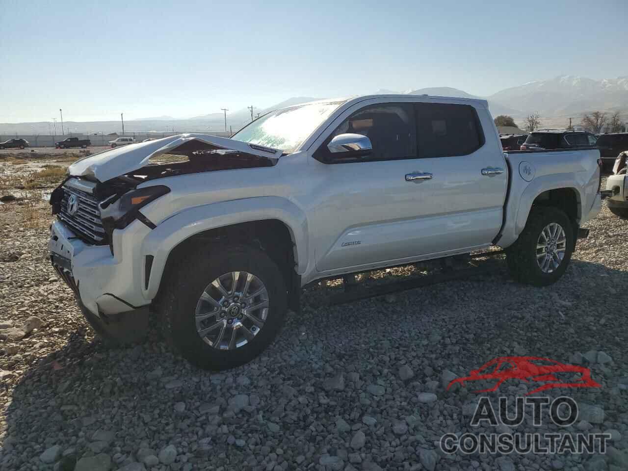 TOYOTA TACOMA 2024 - 3TYLC5LN5RT001748