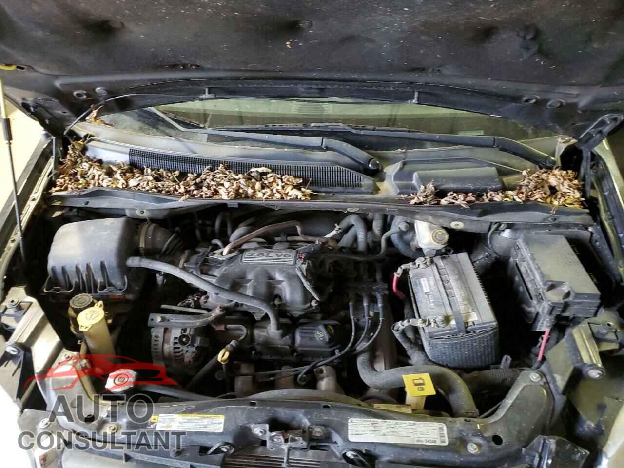 DODGE CARAVAN 2010 - 2D4RN5D10AR201819
