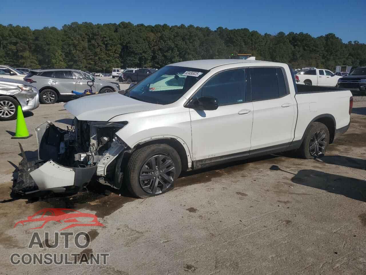 HONDA RIDGELINE 2021 - 5FPYK3F11MB018794