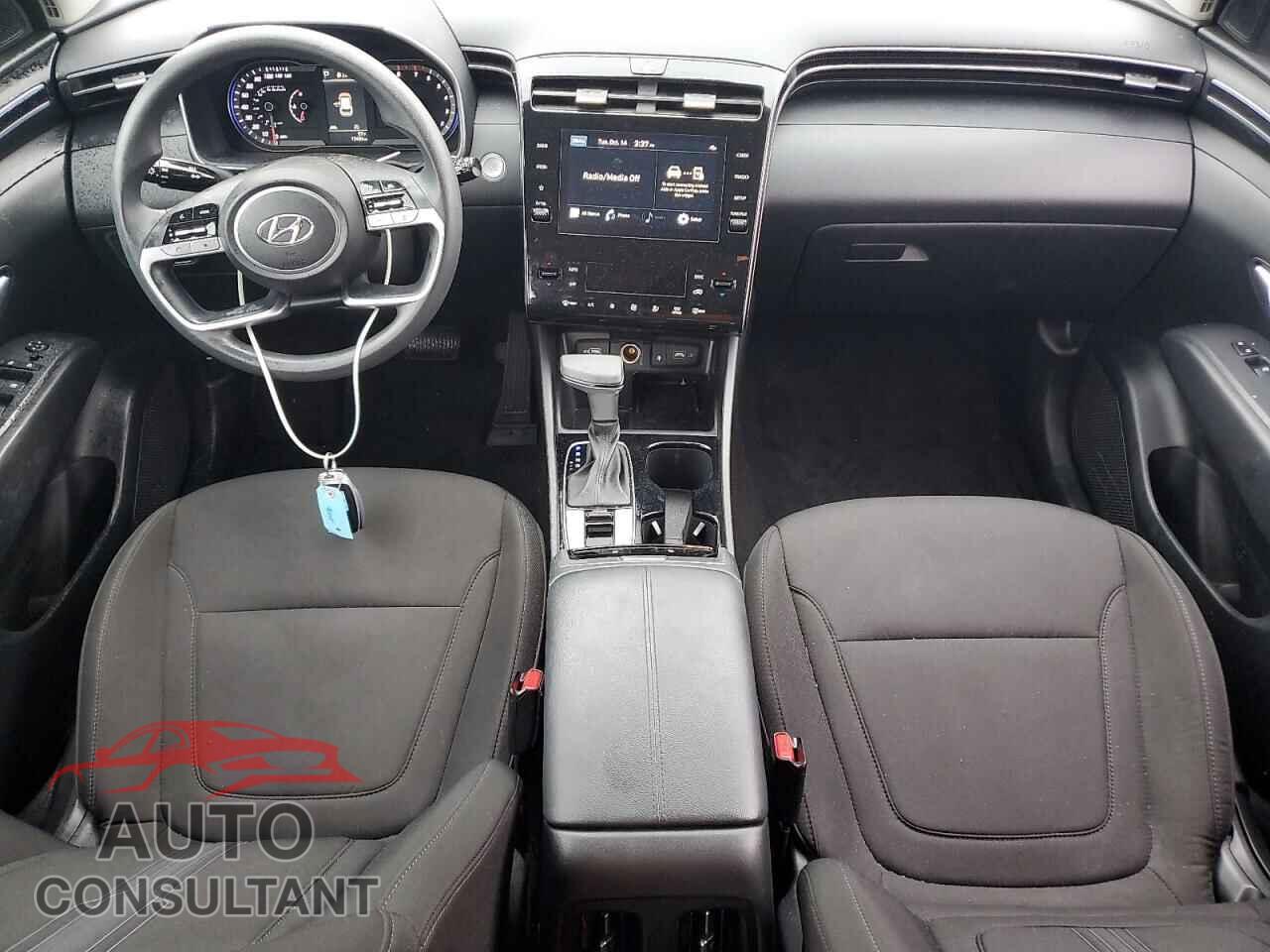 HYUNDAI TUCSON 2024 - 5NMJBCDE1RH364981