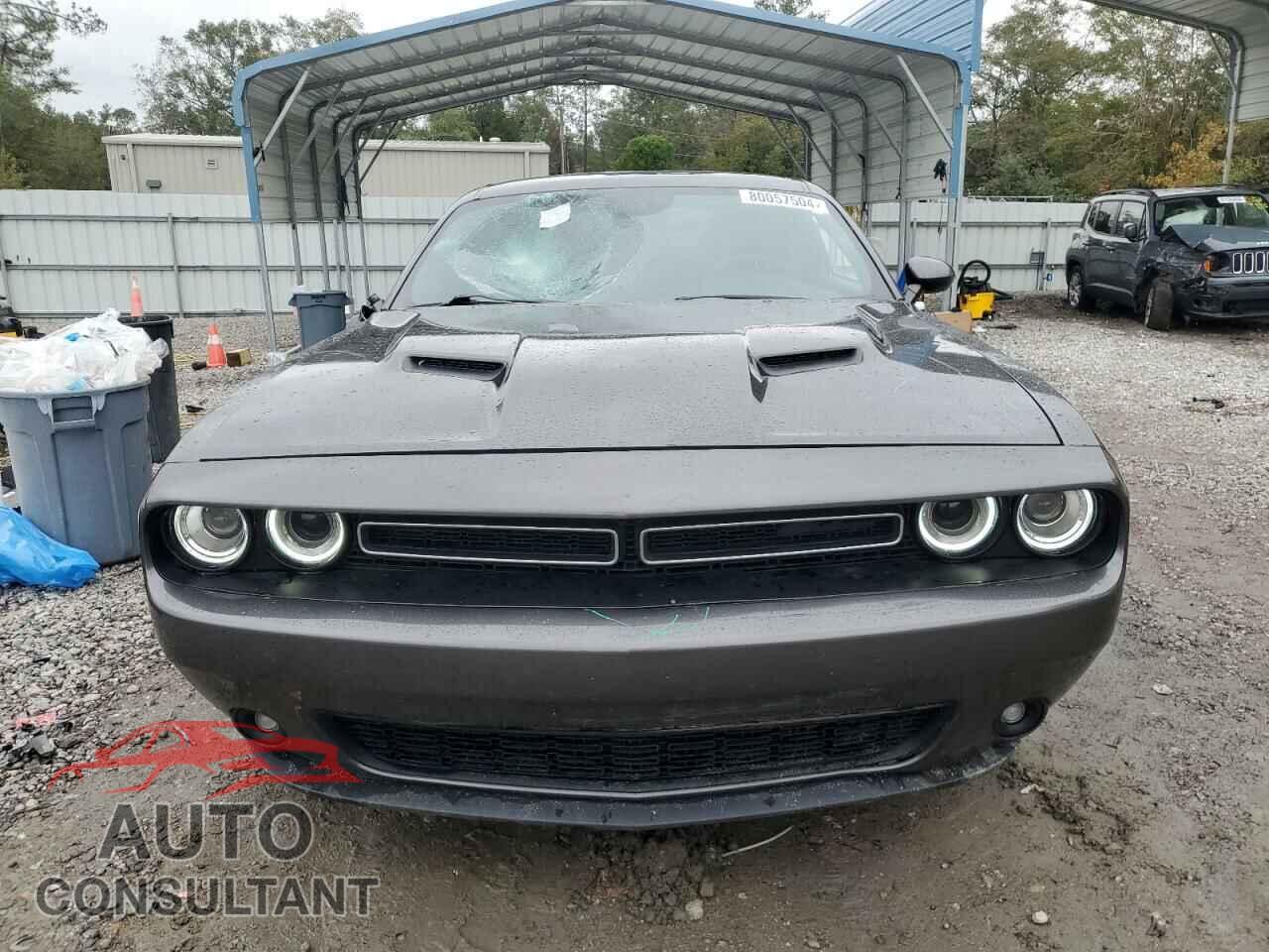 DODGE CHALLENGER 2019 - 2C3CDZAG2KH621258