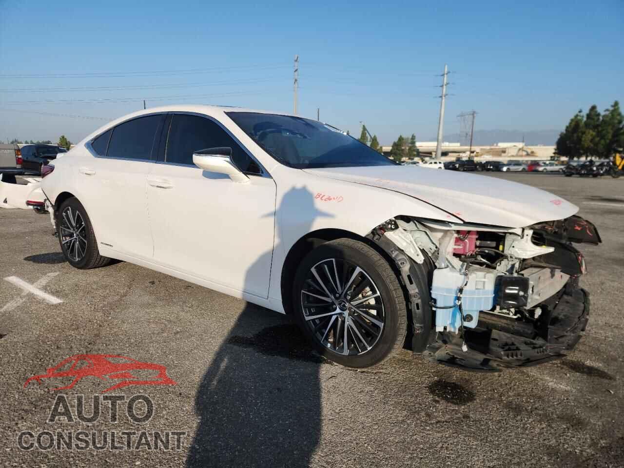 LEXUS ES300 2022 - 58ADA1C19NU023791