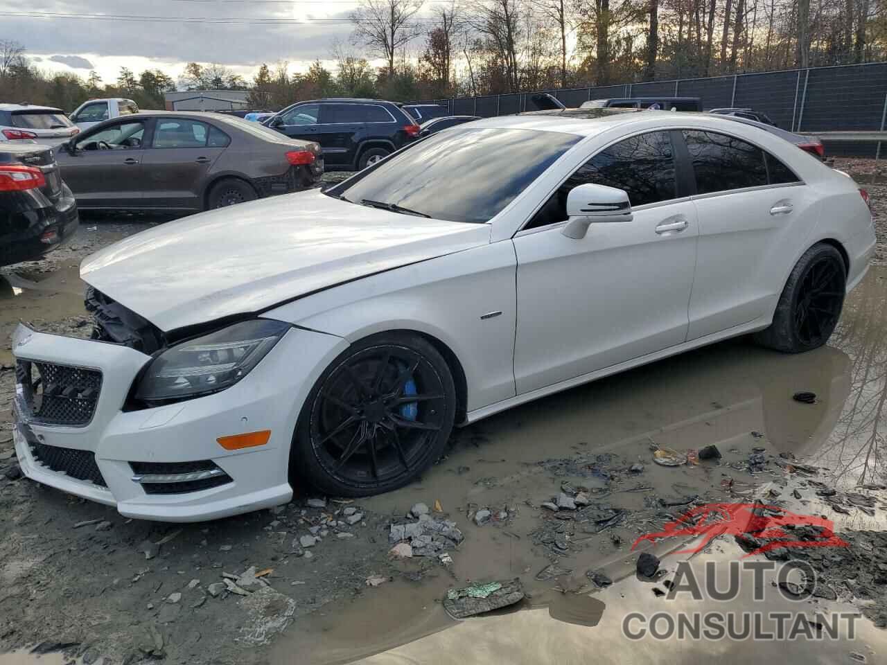 MERCEDES-BENZ CLS-CLASS 2012 - WDDLJ9BB7CA028119