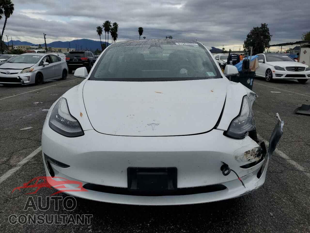 TESLA MODEL 3 2019 - 5YJ3E1EA9KF435674