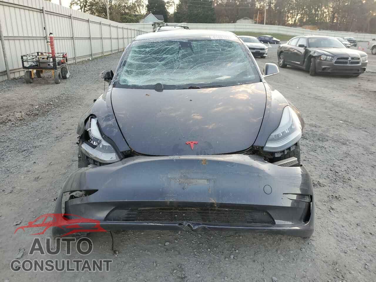 TESLA MODEL 3 2019 - 5YJ3E1EA7KF435365