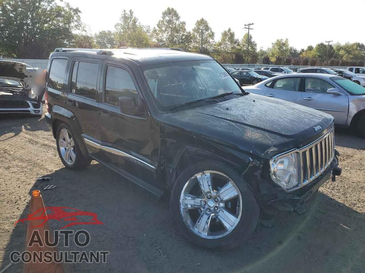 JEEP LIBERTY 2012 - 1C4PJMFK2CW152990