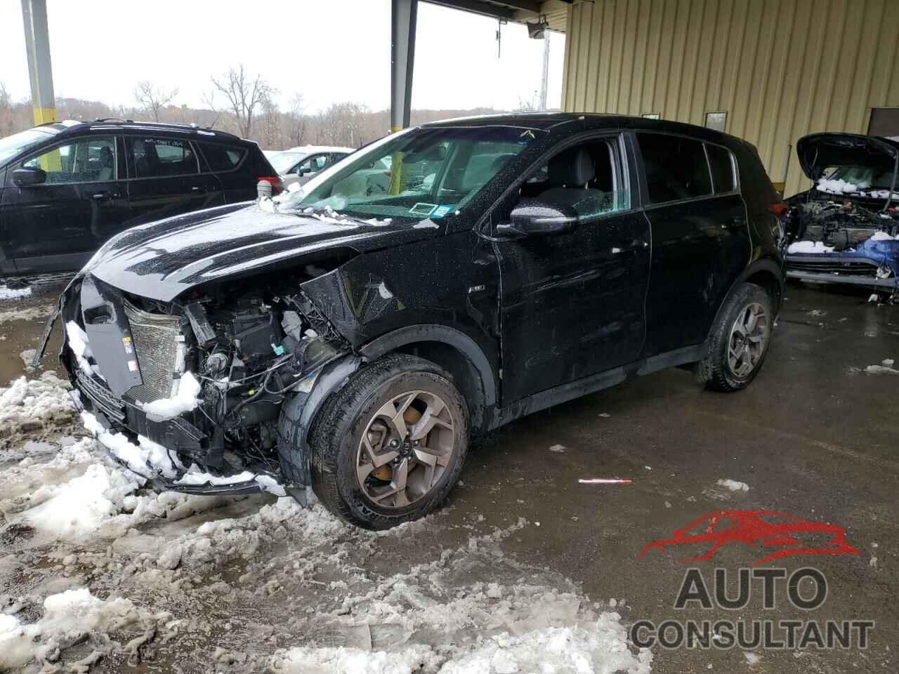 KIA SPORTAGE 2020 - KNDPMCAC4L7773255