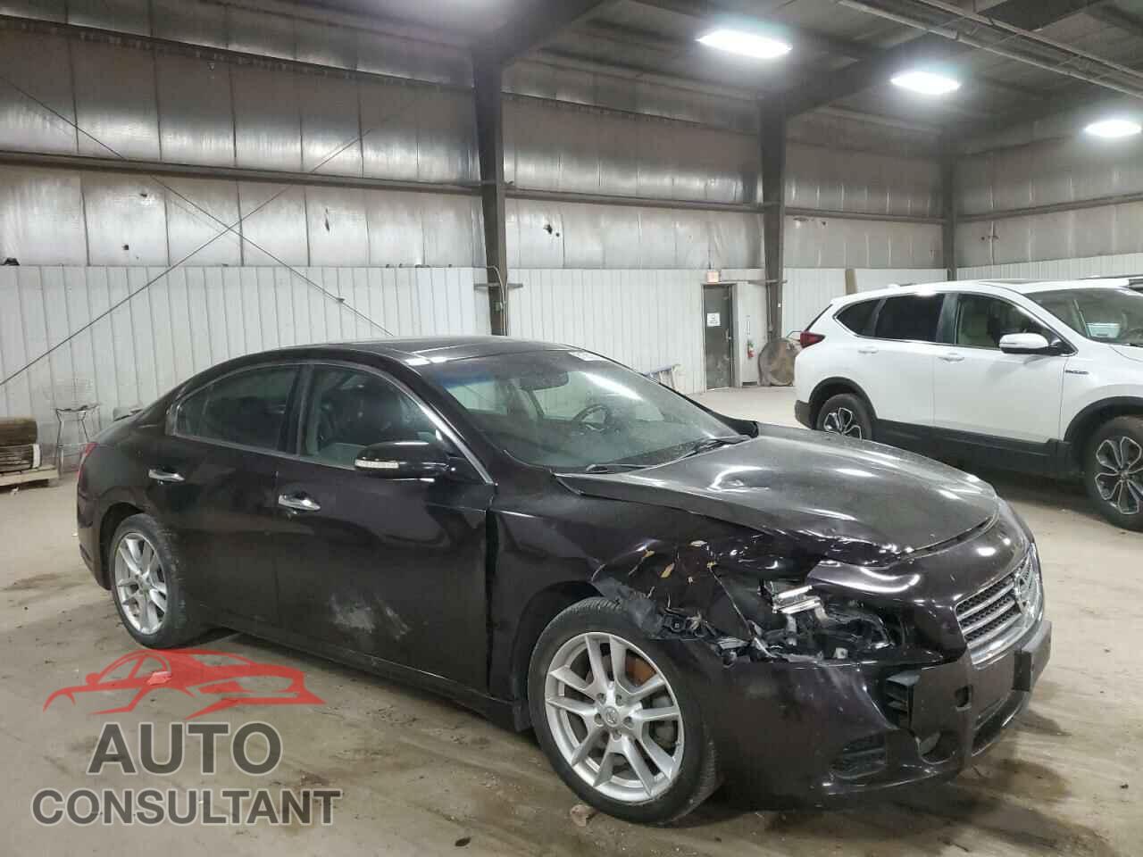 NISSAN MAXIMA 2010 - 1N4AA5AP4AC819187