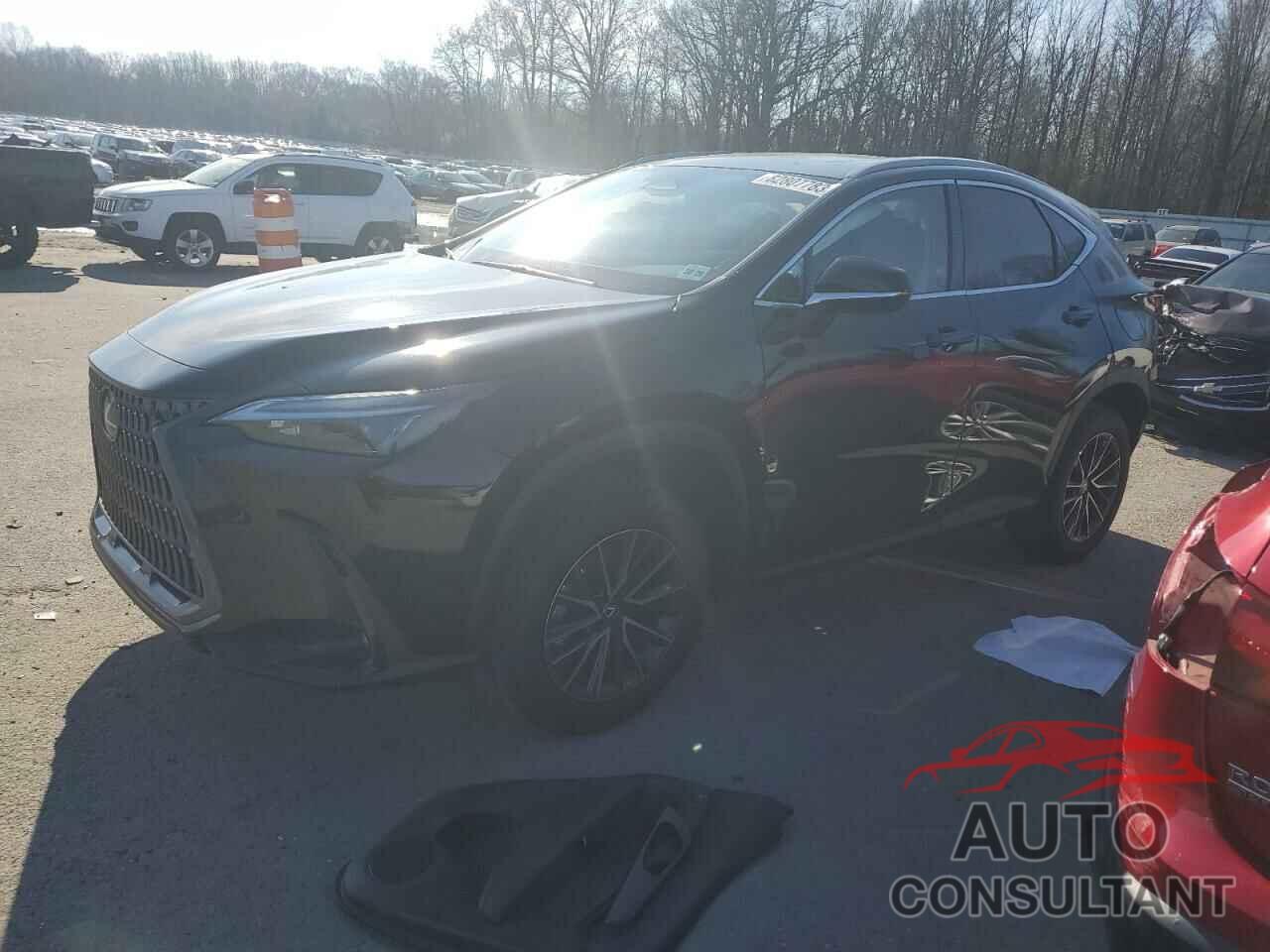 LEXUS NX 350 BAS 2024 - 2T2AGCEZ5RC047080