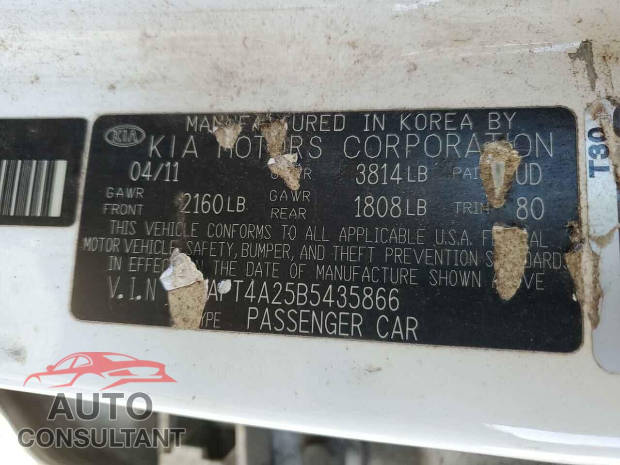KIA FORTE 2011 - KNAFT4A25B5435866
