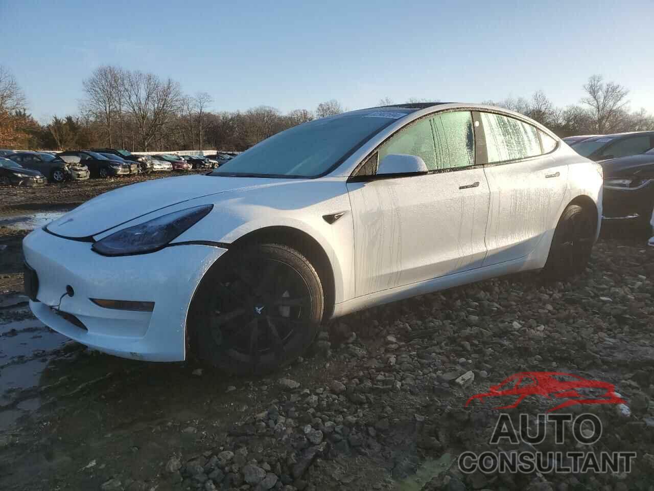 TESLA MODEL 3 2023 - 5YJ3E1EA4PF556071