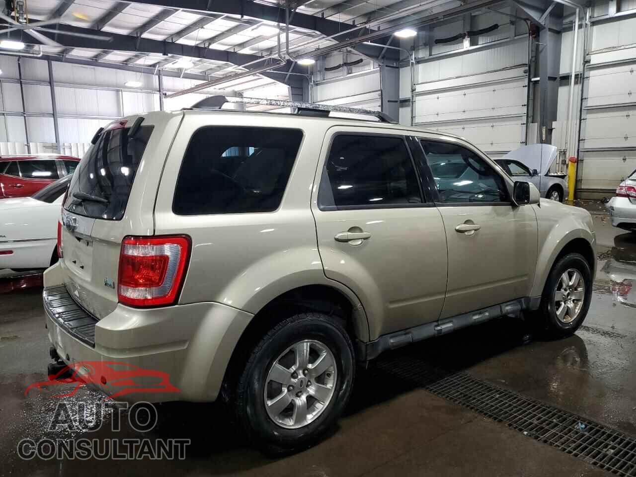FORD ESCAPE 2011 - 1FMCU9EG3BKC04550