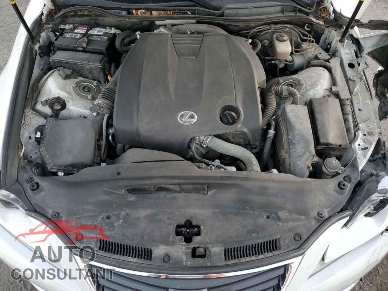 LEXUS IS 2014 - JTHBF1D29E5031412