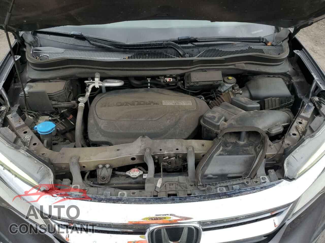 HONDA PILOT 2019 - 5FNYF6H00KB076153