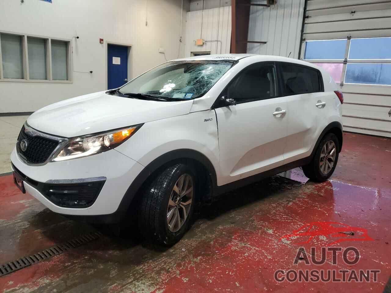 KIA SPORTAGE 2016 - KNDPBCAC8G7854058