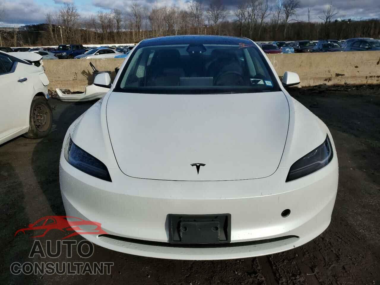 TESLA MODEL 3 2024 - 5YJ3E1EA1RF830801
