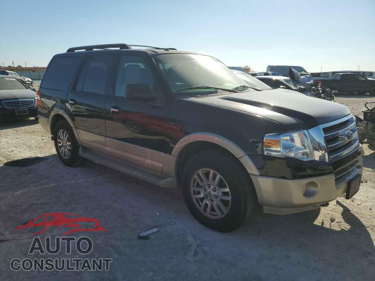 FORD EXPEDITION 2009 - 1FMFU18589EB03540