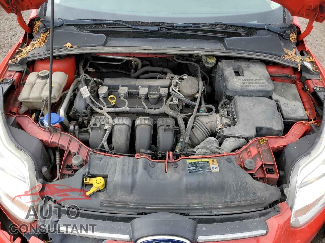 FORD FOCUS 2012 - 1FAHP3F20CL198452