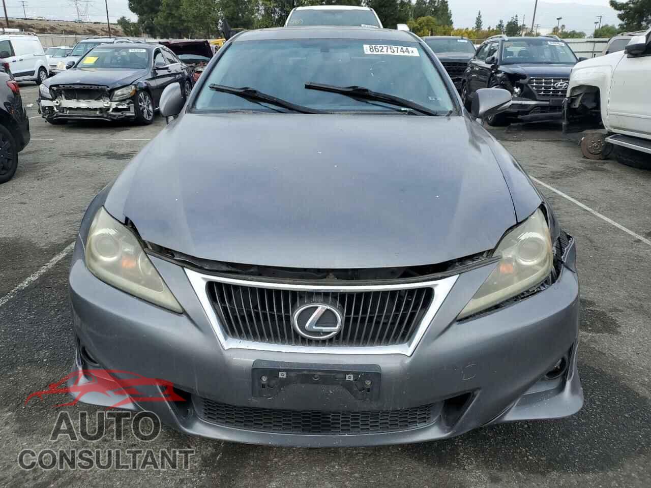 LEXUS IS 2013 - JTHBF5C20D5188155