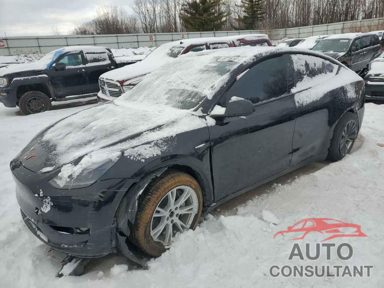 TESLA MODEL Y 2023 - 7SAYGDEE9PA181525