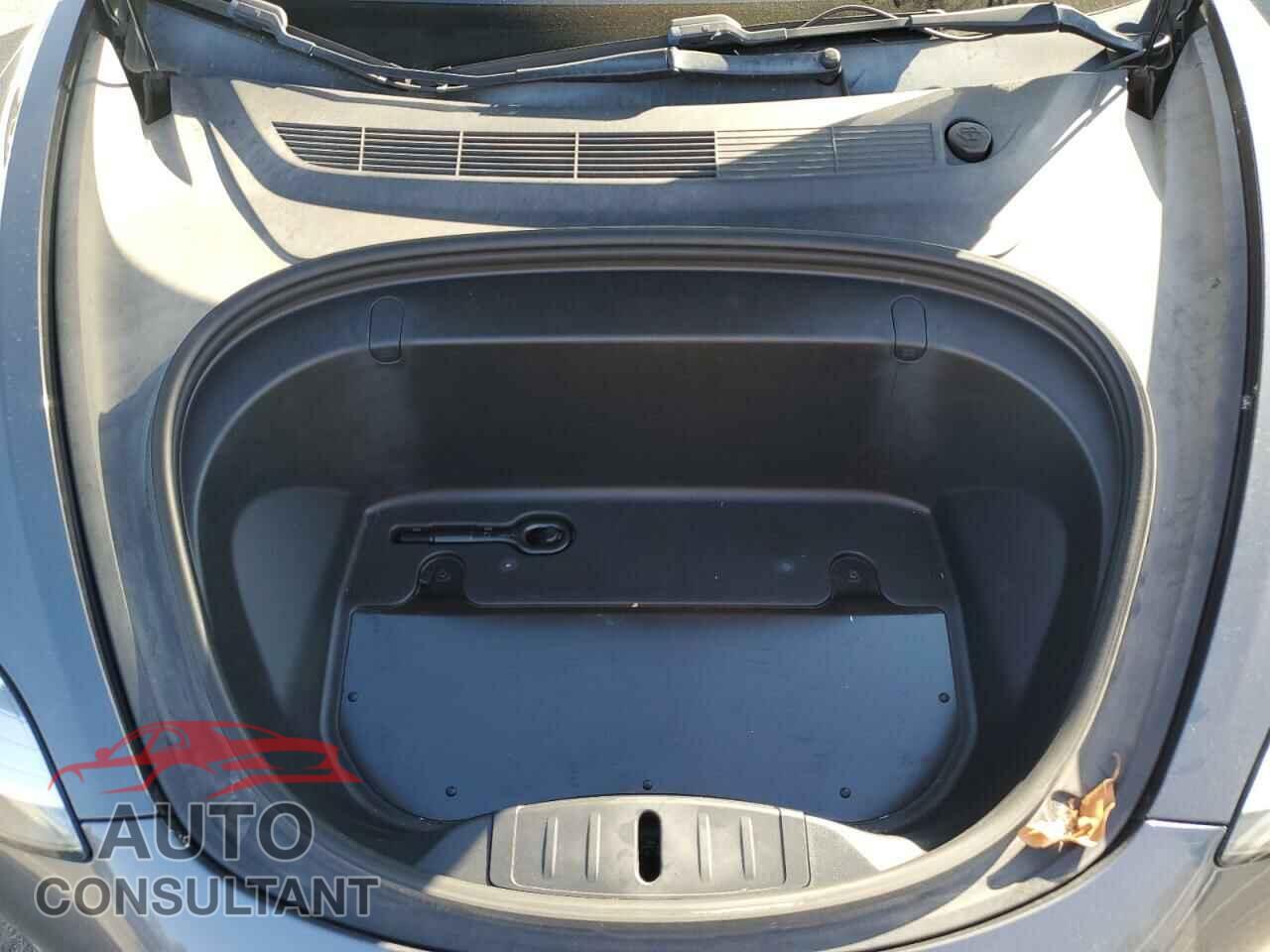 TESLA MODEL 3 2019 - 5YJ3E1EA0KF307310