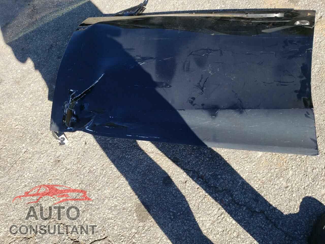 TESLA MODEL Y 2024 - 7SAYGDED0RF004357