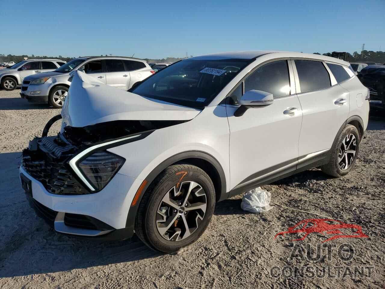 KIA SPORTAGE 2024 - 5XYK33DF2RG232770