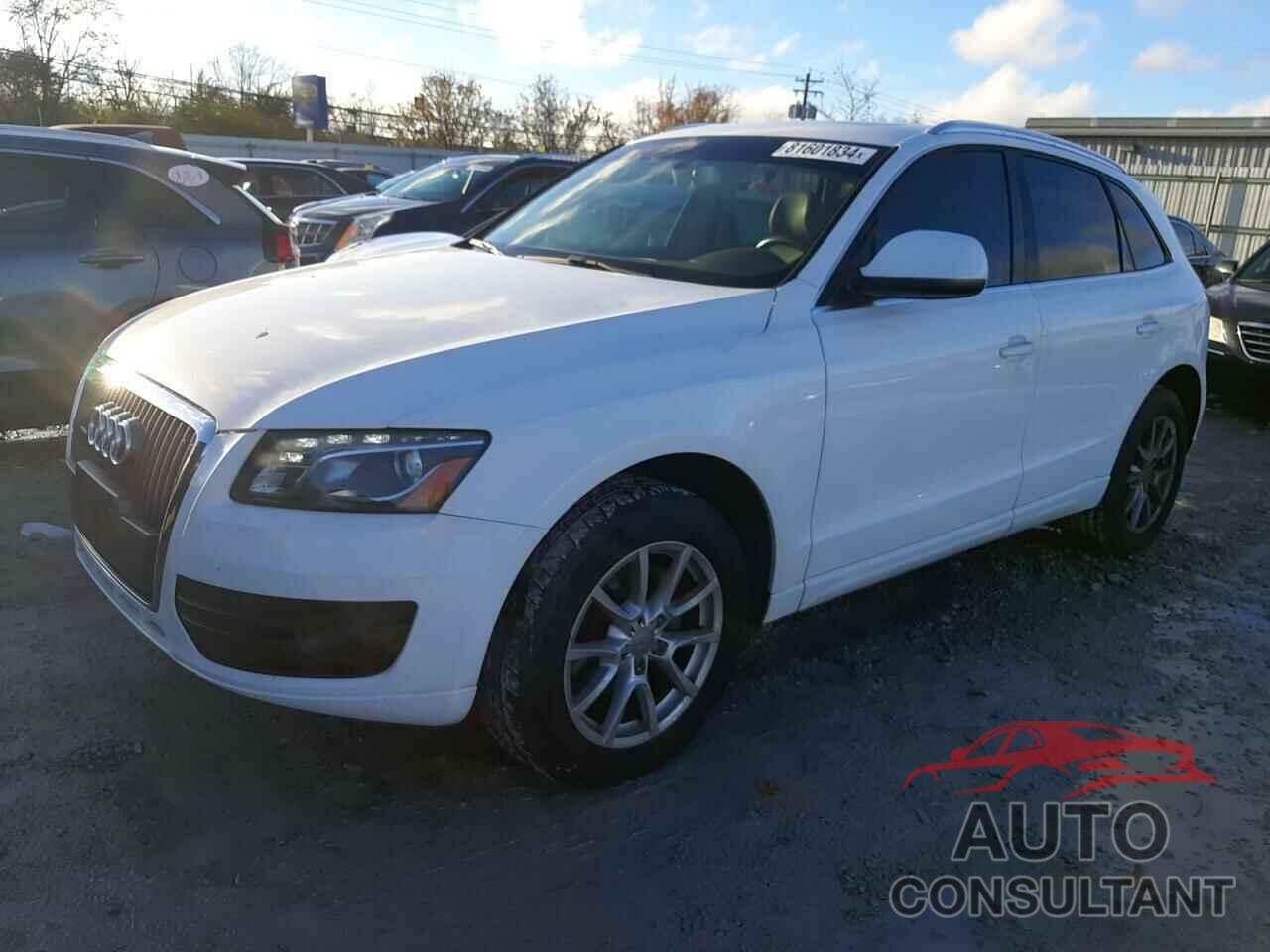 AUDI Q5 2011 - WA1LFAFP4BA002931