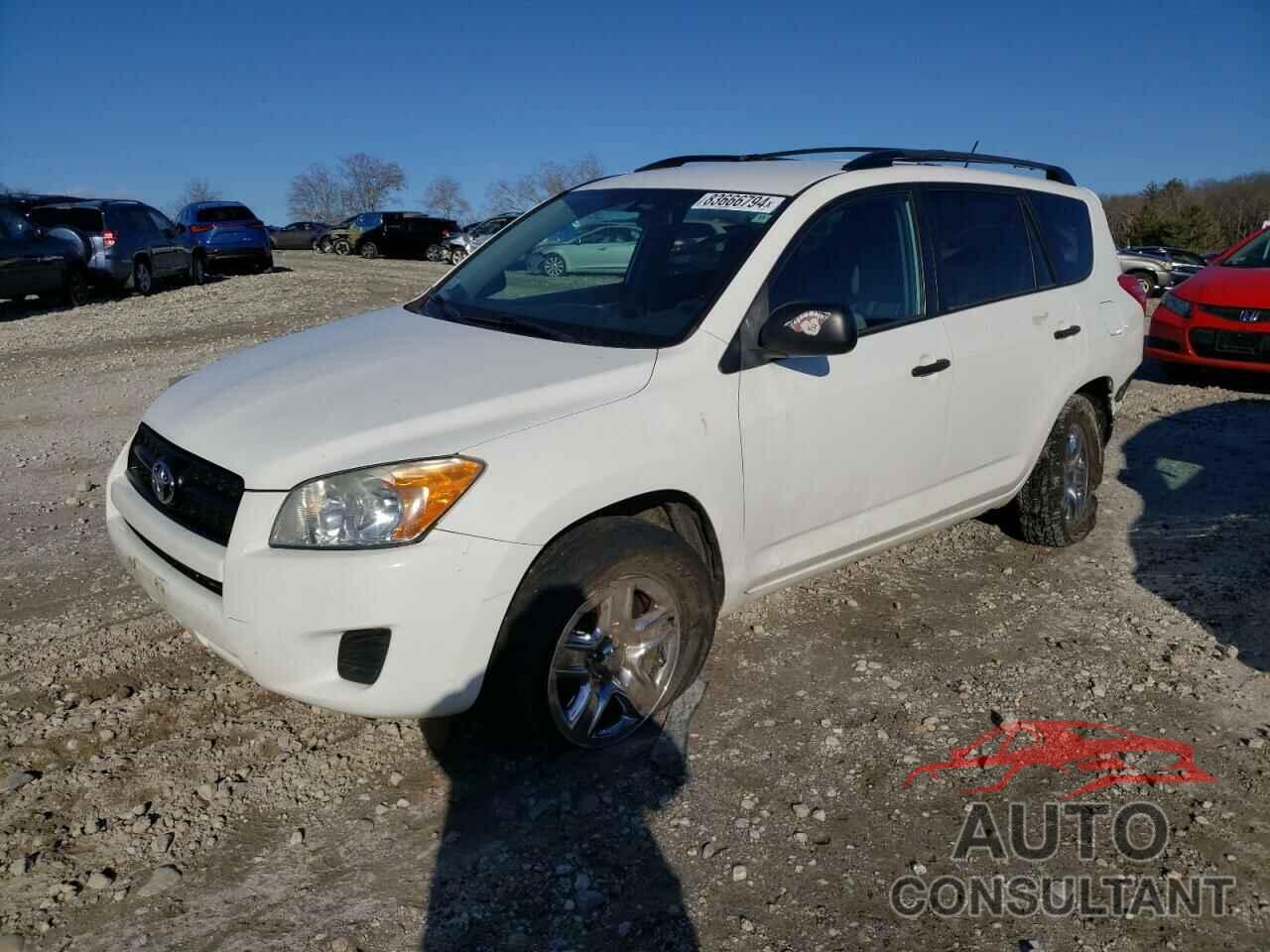 TOYOTA RAV4 2011 - 2T3BF4DV2BW138559
