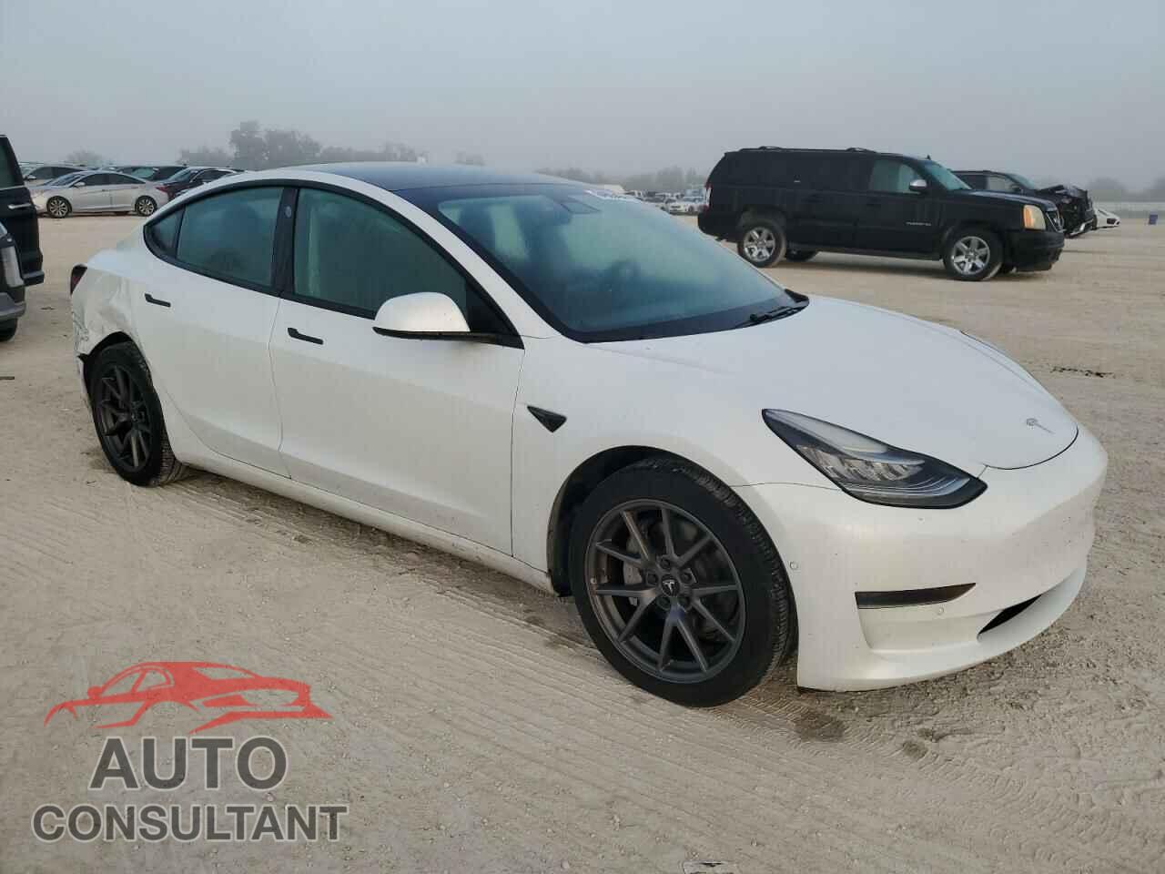 TESLA MODEL 3 2021 - 5YJ3E1EA7MF855081