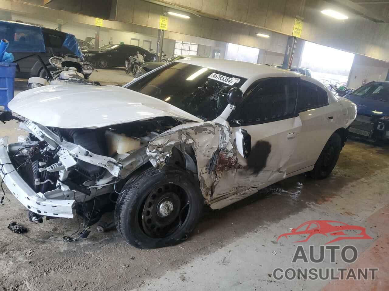DODGE CHARGER 2022 - 2C3CDXKG5NH130688
