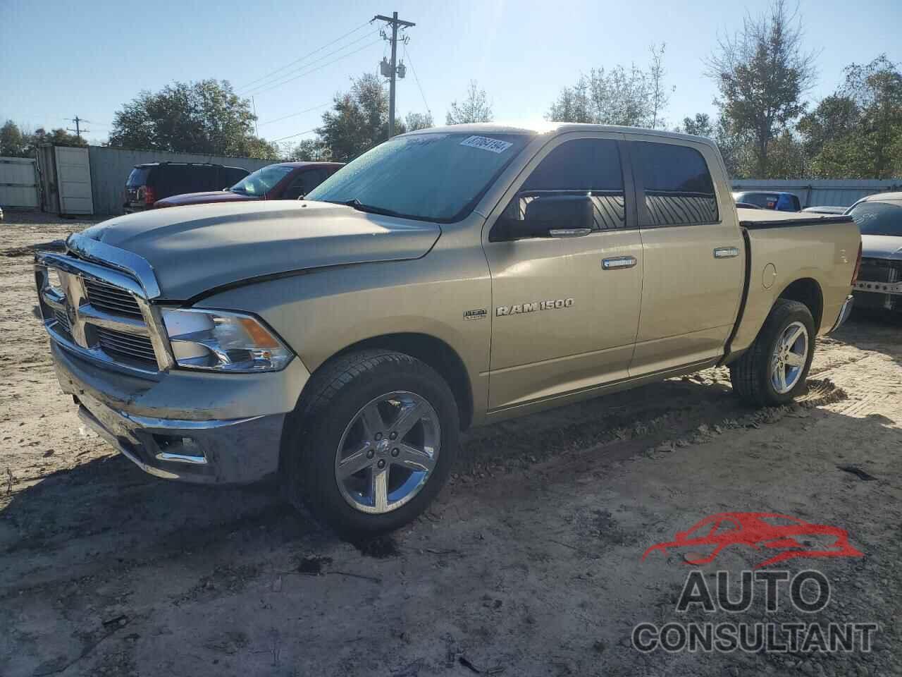 DODGE All Models 2011 - 1D7RB1CT0BS554133