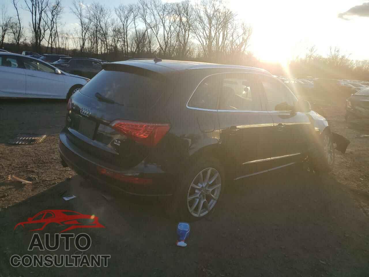 AUDI Q5 2010 - WA1LKAFP3AA021433