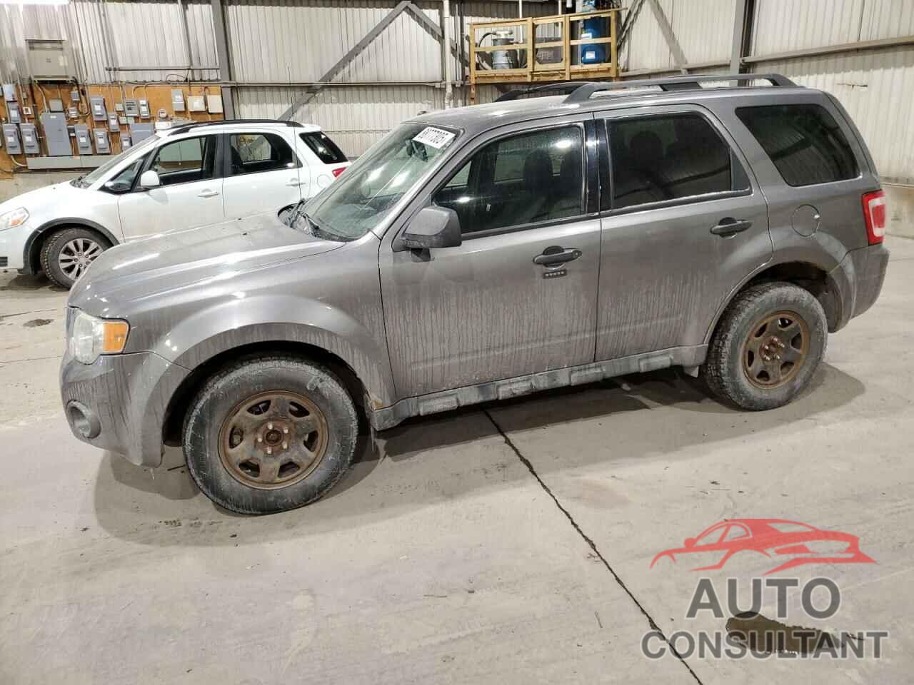 FORD ESCAPE 2010 - 1FMCU9DG2AKD29488