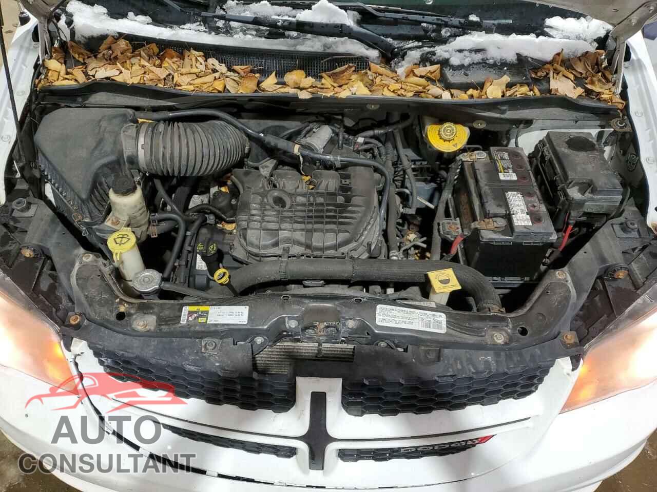DODGE CARAVAN 2014 - 2C4RDGEG4ER385389