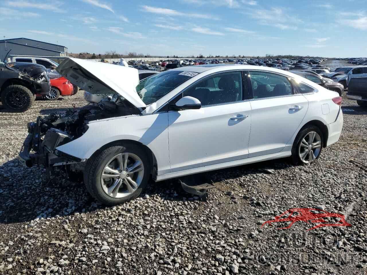 HYUNDAI SONATA 2019 - 5NPE34AF6KH820712