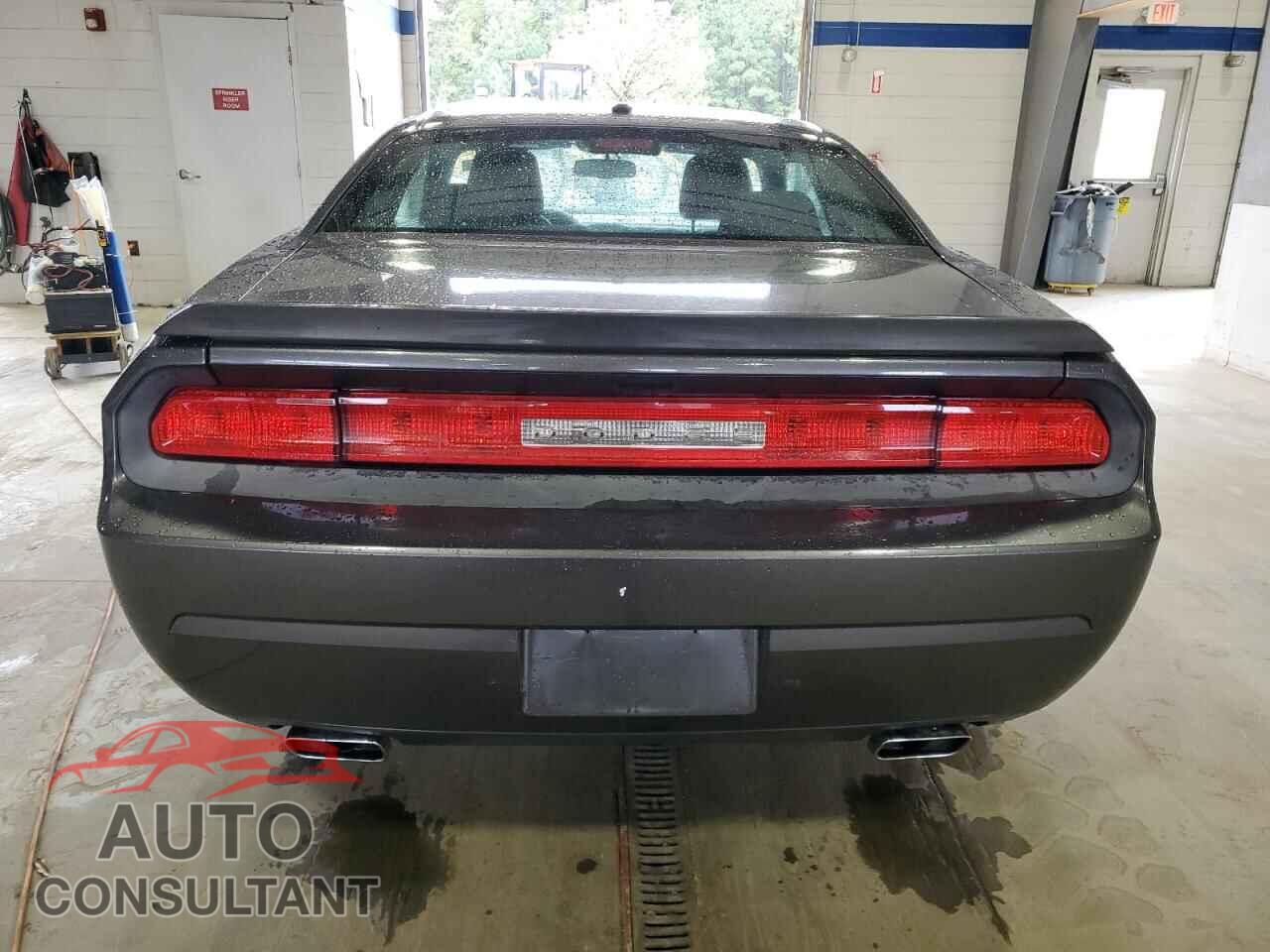 DODGE CHALLENGER 2013 - 2C3CDYBTXDH667994