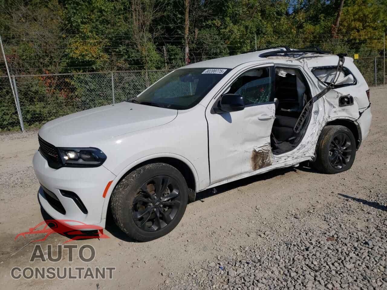 DODGE DURANGO 2023 - 1C4RDHAG2PC596422