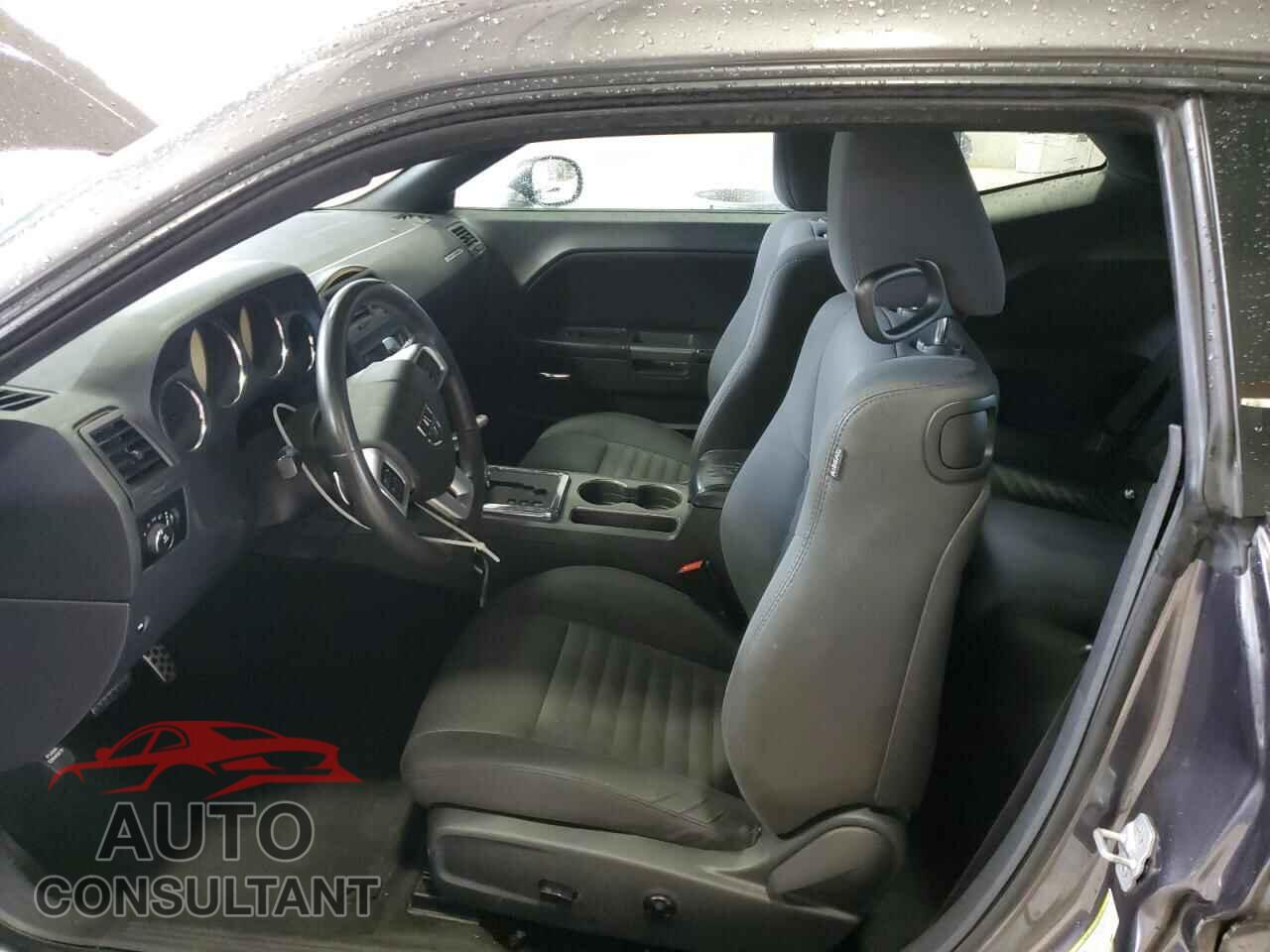 DODGE CHALLENGER 2013 - 2C3CDYBTXDH667994
