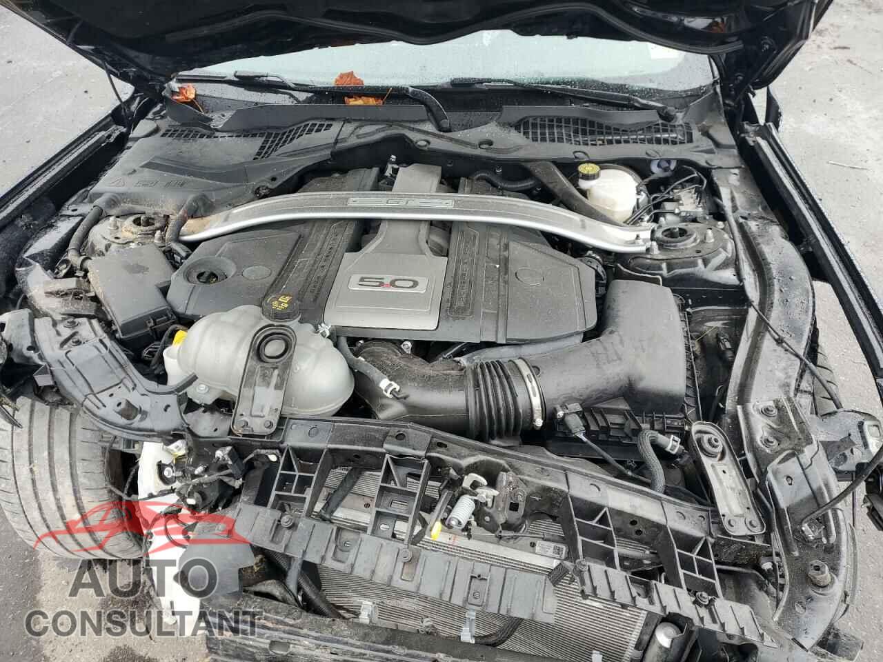 FORD MUSTANG 2019 - 1FA6P8CF9K5111792