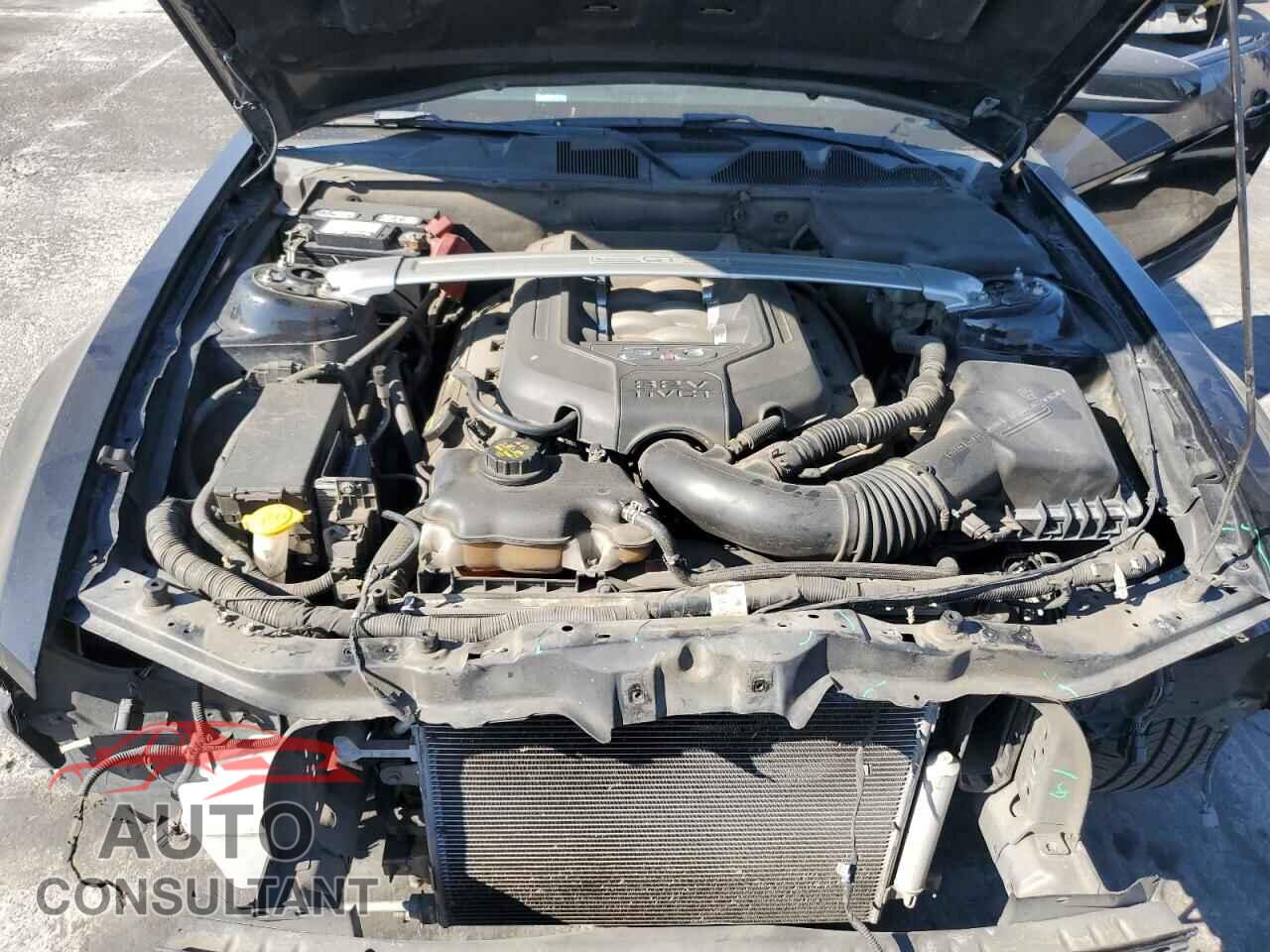 FORD MUSTANG 2014 - 1ZVBP8FF4E5321853