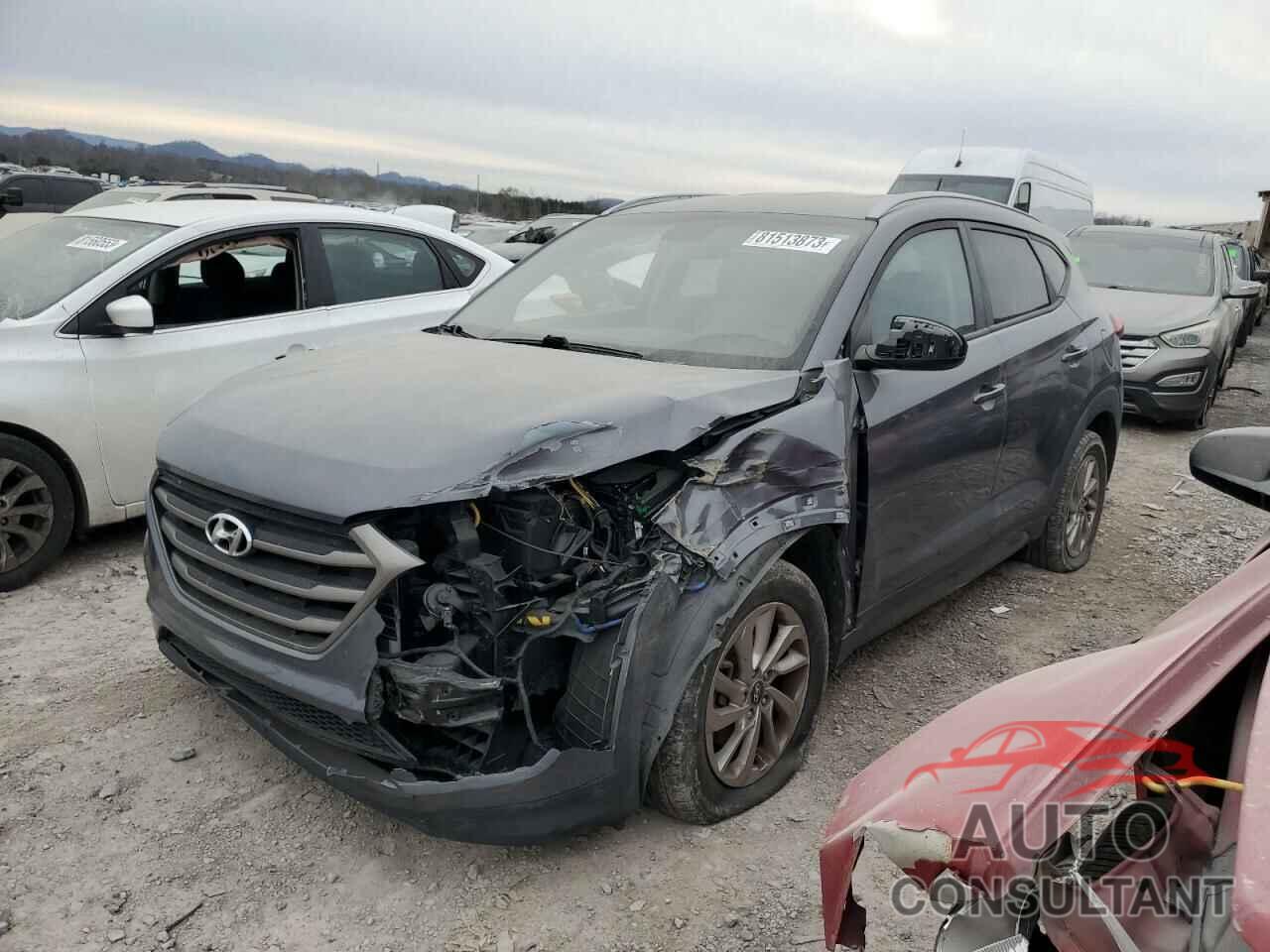 HYUNDAI TUCSON 2016 - KM8J3CA40GU130390