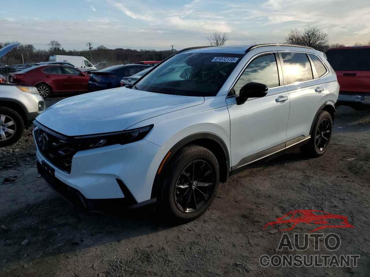 HONDA CRV 2023 - 7FARS6H52PE040522