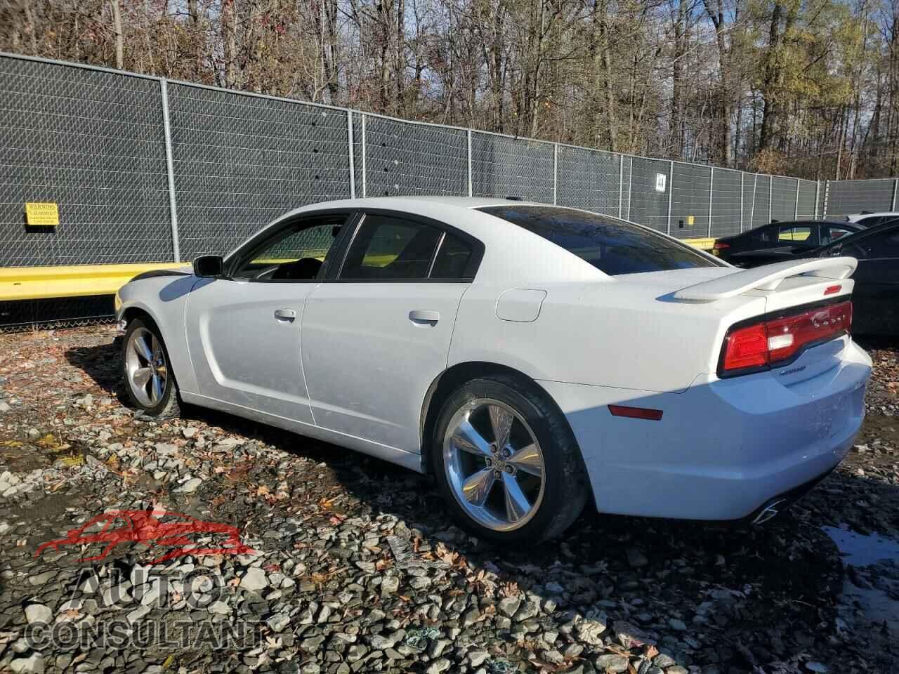 DODGE CHARGER 2013 - 2C3CDXHG5DH730567