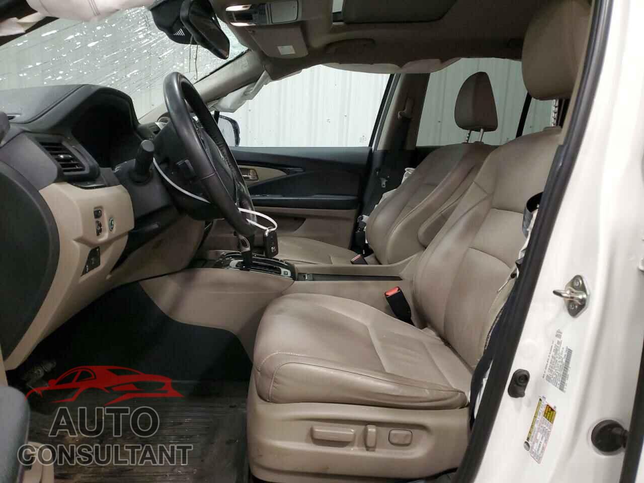 HONDA RIDGELINE 2019 - 5FPYK3F77KB033527