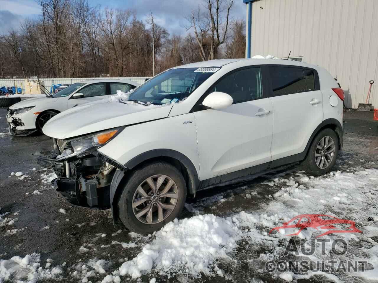 KIA SPORTAGE 2016 - KNDPBCAC8G7828821