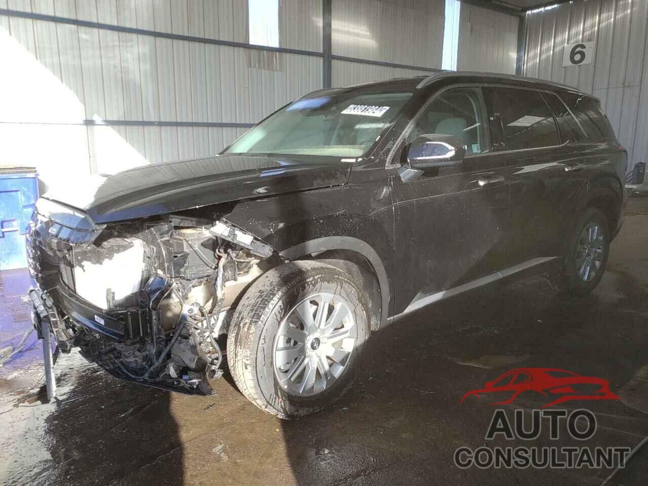 HYUNDAI PALISADE 2025 - KM8R2DGE2SU848205
