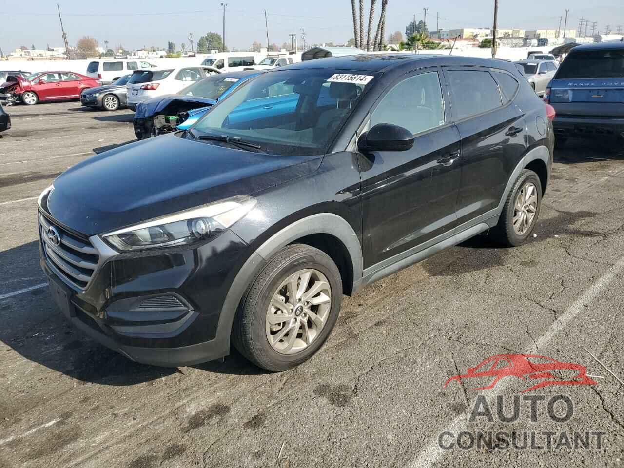 HYUNDAI TUCSON 2017 - KM8J23A44HU545541